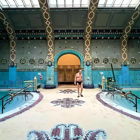Secluded Spacious Oasis-best Location In Downtown Apartment